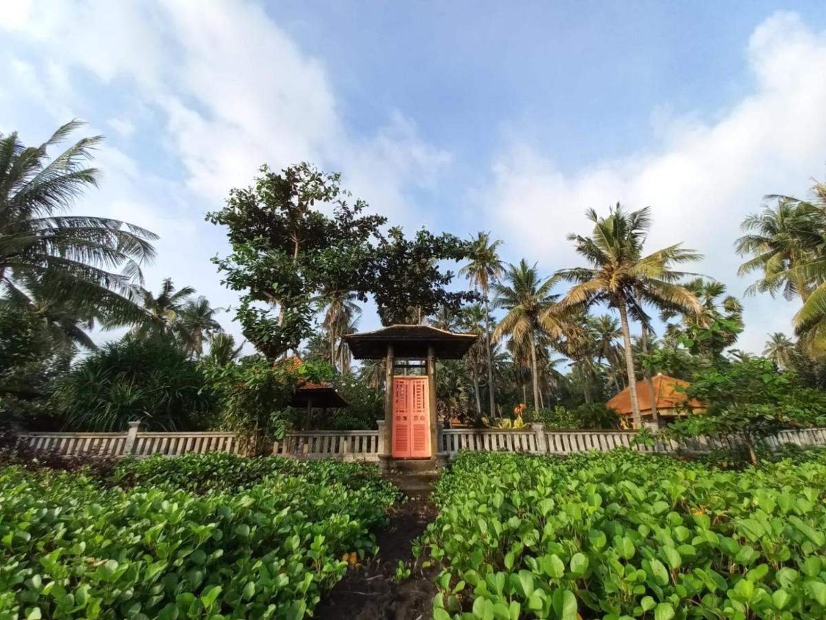 Bali North Beach B&B 티아냐르 외부 사진